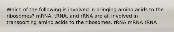 Which of the following is involved in bringing amino acids to the ribosomes? mRNA, tRNA, and rRNA are all involved in transporting amino acids to the ribosomes. rRNA mRNA tRNA