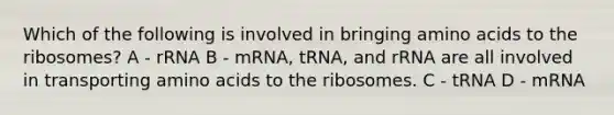 Which of the following is involved in bringing amino acids to the ribosomes? A - rRNA B - mRNA, tRNA, and rRNA are all involved in transporting amino acids to the ribosomes. C - tRNA D - mRNA