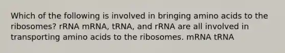 Which of the following is involved in bringing amino acids to the ribosomes? rRNA mRNA, tRNA, and rRNA are all involved in transporting amino acids to the ribosomes. mRNA tRNA