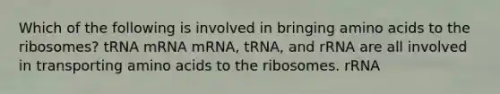 Which of the following is involved in bringing amino acids to the ribosomes? tRNA mRNA mRNA, tRNA, and rRNA are all involved in transporting amino acids to the ribosomes. rRNA