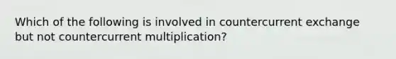 Which of the following is involved in countercurrent exchange but not countercurrent multiplication?