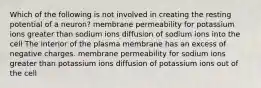 Which of the following is not involved in creating the resting potential of a neuron? membrane permeability for potassium ions greater than sodium ions diffusion of sodium ions into the cell The interior of the plasma membrane has an excess of negative charges. membrane permeability for sodium ions greater than potassium ions diffusion of potassium ions out of the cell