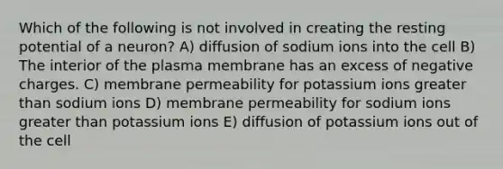 Which of the following is not involved in creating the resting potential of a neuron? A) diffusion of sodium ions into the cell B) The interior of the plasma membrane has an excess of negative charges. C) membrane permeability for potassium ions <a href='https://www.questionai.com/knowledge/ktgHnBD4o3-greater-than' class='anchor-knowledge'>greater than</a> sodium ions D) membrane permeability for sodium ions greater than potassium ions E) diffusion of potassium ions out of the cell