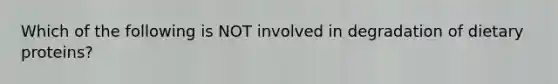 Which of the following is NOT involved in degradation of dietary proteins?