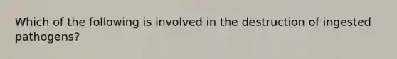 Which of the following is involved in the destruction of ingested pathogens?