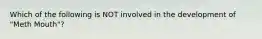 Which of the following is NOT involved in the development of "Meth Mouth"?