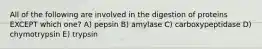 All of the following are involved in the digestion of proteins EXCEPT which one? A) pepsin B) amylase C) carboxypeptidase D) chymotrypsin E) trypsin