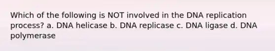 Which of the following is NOT involved in the <a href='https://www.questionai.com/knowledge/kofV2VQU2J-dna-replication' class='anchor-knowledge'>dna replication</a> process? a. DNA helicase b. DNA replicase c. DNA ligase d. DNA polymerase