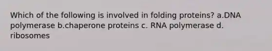 Which of the following is involved in folding proteins? a.DNA polymerase b.chaperone proteins c. RNA polymerase d. ribosomes