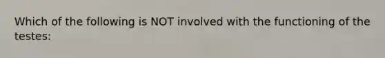 Which of the following is NOT involved with the functioning of the testes: