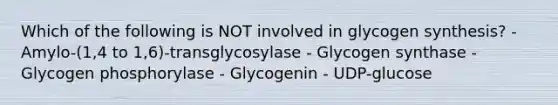 Which of the following is NOT involved in glycogen synthesis? - Amylo-(1,4 to 1,6)-transglycosylase - Glycogen synthase - Glycogen phosphorylase - Glycogenin - UDP-glucose