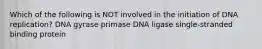 Which of the following is NOT involved in the initiation of DNA replication? DNA gyrase primase DNA ligase single-stranded binding protein