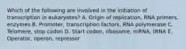 Which of the following are involved in the initiation of transcription in eukaryotes? A. Origin of replication, RNA primers, enzymes B. Promoter, transcription factors, RNA polymerase C. Telomere, stop codon D. Start codon, ribosome, mRNA, tRNA E. Operator, operon, repressor