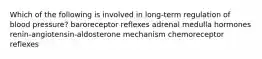 Which of the following is involved in long-term regulation of blood pressure? baroreceptor reflexes adrenal medulla hormones renin-angiotensin-aldosterone mechanism chemoreceptor reflexes