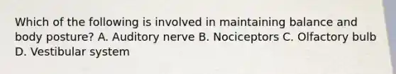 Which of the following is involved in maintaining balance and body posture? A. Auditory nerve B. Nociceptors C. Olfactory bulb D. Vestibular system