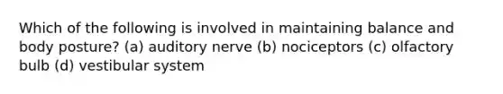 Which of the following is involved in maintaining balance and body posture? (a) auditory nerve (b) nociceptors (c) olfactory bulb (d) vestibular system