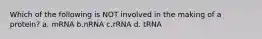 Which of the following is NOT involved in the making of a protein? a. mRNA b.nRNA c.rRNA d. tRNA