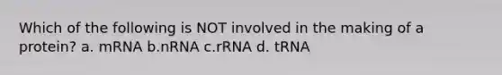 Which of the following is NOT involved in the making of a protein? a. mRNA b.nRNA c.rRNA d. tRNA