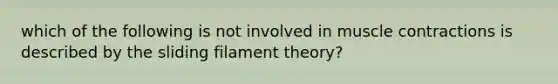 which of the following is not involved in <a href='https://www.questionai.com/knowledge/k0LBwLeEer-muscle-contraction' class='anchor-knowledge'>muscle contraction</a>s is described by the sliding filament theory?