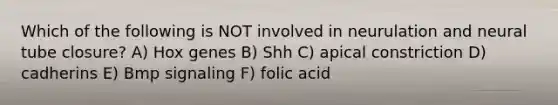 Which of the following is NOT involved in neurulation and neural tube closure? A) Hox genes B) Shh C) apical constriction D) cadherins E) Bmp signaling F) folic acid