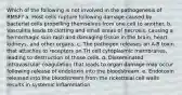 Which of the following is not involved in the pathogenesis of RMSF? a. Host cells rupture following damage caused by bacterial cells propelling themselves from one cell to another. b. Vasculitis leads to clotting and small areas of necrosis, causing a hemorrhagic skin rash and damaging tissue in the brain, heart, kidneys, and other organs. c. The pathogen releases an A-B toxin that attaches to receptors on TH cell cytoplasmic membranes, leading to destruction of those cells. d. Disseminated intravascular coagulation that leads to organ damage may occur following release of endotoxin into the bloodstream. e. Endotoxin released into the bloodstream from the rickettsial cell walls results in systemic inflammation.