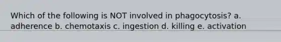 Which of the following is NOT involved in phagocytosis? a. adherence b. chemotaxis c. ingestion d. killing e. activation