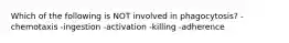 Which of the following is NOT involved in phagocytosis? -chemotaxis -ingestion -activation -killing -adherence