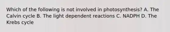 Which of the following is not involved in photosynthesis? A. The Calvin cycle B. The light dependent reactions C. NADPH D. The Krebs cycle