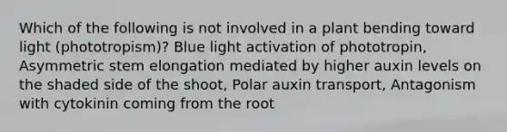 Which of the following is not involved in a plant bending toward light (phototropism)? Blue light activation of phototropin, Asymmetric stem elongation mediated by higher auxin levels on the shaded side of the shoot, Polar auxin transport, Antagonism with cytokinin coming from the root