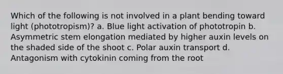 Which of the following is not involved in a plant bending toward light (phototropism)? a. Blue light activation of phototropin b. Asymmetric stem elongation mediated by higher auxin levels on the shaded side of the shoot c. Polar auxin transport d. Antagonism with cytokinin coming from the root