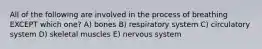 All of the following are involved in the process of breathing EXCEPT which one? A) bones B) respiratory system C) circulatory system D) skeletal muscles E) nervous system