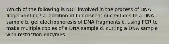 Which of the following is NOT involved in the process of DNA fingerprinting? a. addition of fluorescent nucleotides to a DNA sample b. gel electrophoresis of DNA fragments c. using PCR to make multiple copies of a DNA sample d. cutting a DNA sample with restriction enzymes