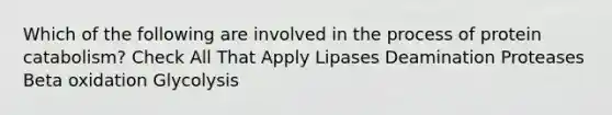 Which of the following are involved in the process of protein catabolism? Check All That Apply Lipases Deamination Proteases Beta oxidation Glycolysis