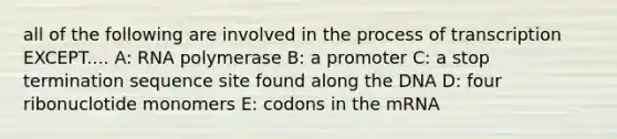 all of the following are involved in the process of transcription EXCEPT.... A: RNA polymerase B: a promoter C: a stop termination sequence site found along the DNA D: four ribonuclotide monomers E: codons in the mRNA