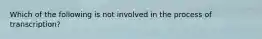 Which of the following is not involved in the process of transcription?