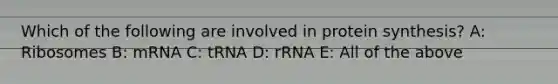 Which of the following are involved in protein synthesis? A: Ribosomes B: mRNA C: tRNA D: rRNA E: All of the above