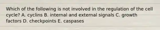 Which of the following is not involved in the regulation of the cell cycle? A. cyclins B. internal and external signals C. growth factors D. checkpoints E. caspases