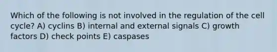 Which of the following is not involved in the regulation of the cell cycle? A) cyclins B) internal and external signals C) growth factors D) check points E) caspases