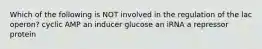 Which of the following is NOT involved in the regulation of the lac operon? cyclic AMP an inducer glucose an iRNA a repressor protein