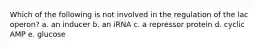 Which of the following is not involved in the regulation of the lac operon? a. an inducer b. an iRNA c. a repressor protein d. cyclic AMP e. glucose