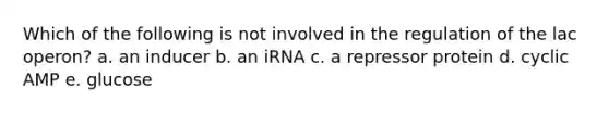 Which of the following is not involved in the regulation of the lac operon? a. an inducer b. an iRNA c. a repressor protein d. cyclic AMP e. glucose