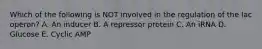 Which of the following is NOT involved in the regulation of the lac operon? A. An inducer B. A repressor protein C. An iRNA D. Glucose E. Cyclic AMP