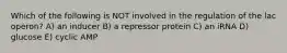 Which of the following is NOT involved in the regulation of the lac operon? A) an inducer B) a repressor protein C) an iRNA D) glucose E) cyclic AMP