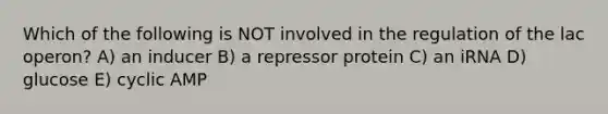 Which of the following is NOT involved in the regulation of the lac operon? A) an inducer B) a repressor protein C) an iRNA D) glucose E) cyclic AMP