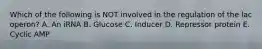 Which of the following is NOT involved in the regulation of the lac operon? A. An iRNA B. Glucose C. Inducer D. Repressor protein E. Cyclic AMP