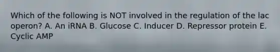 Which of the following is NOT involved in the regulation of the lac operon? A. An iRNA B. Glucose C. Inducer D. Repressor protein E. Cyclic AMP