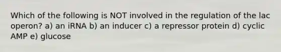 Which of the following is NOT involved in the regulation of the lac operon? a) an iRNA b) an inducer c) a repressor protein d) cyclic AMP e) glucose