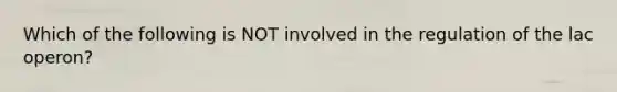 Which of the following is NOT involved in the regulation of the lac operon?