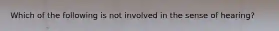 Which of the following is not involved in the sense of hearing?