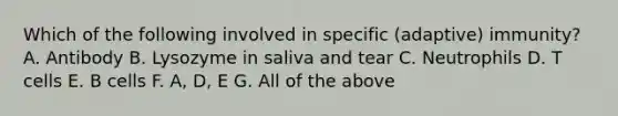 Which of the following involved in specific (adaptive) immunity? A. Antibody B. Lysozyme in saliva and tear C. Neutrophils D. T cells E. B cells F. A, D, E G. All of the above
